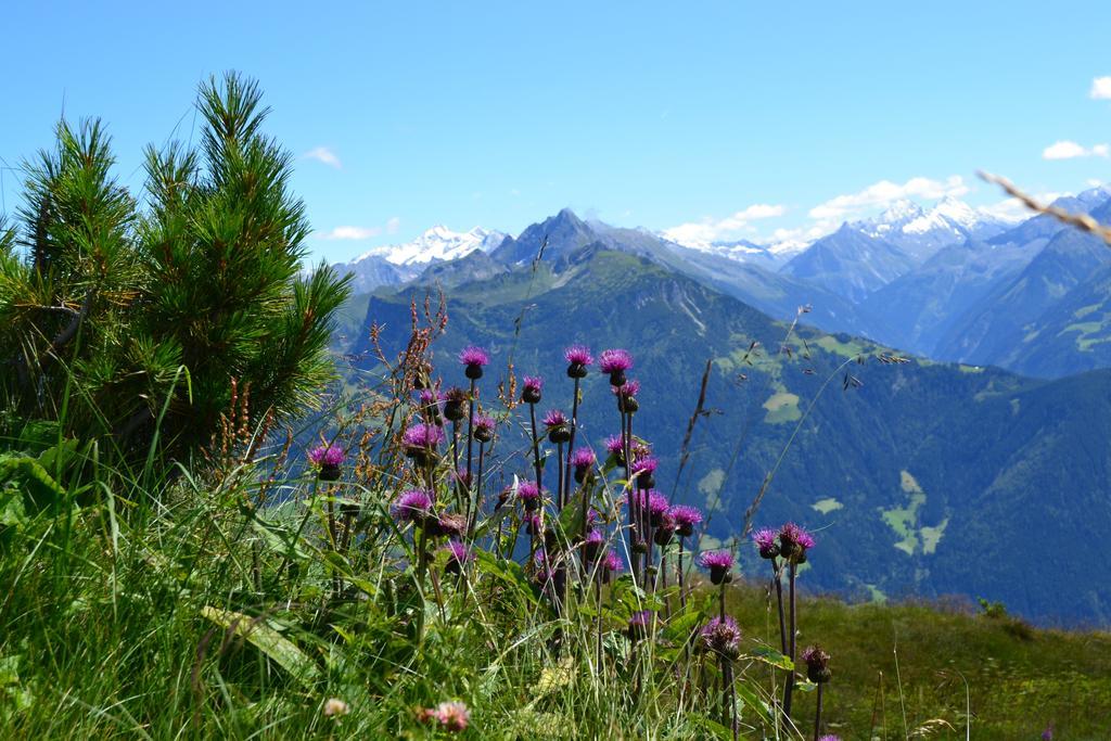 Apartments Emma, Zillertal, Tirol Kaltenbach Εξωτερικό φωτογραφία